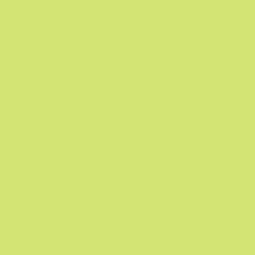 PrintYourHome Fliesenaufkleber für Küche und Bad | einfarbig pastellgrün matt | Fliesenfolie für 10x10cm Fliesen | 242 Stück | Klebefliesen günstig in 1A Qualität von PrintYourHome