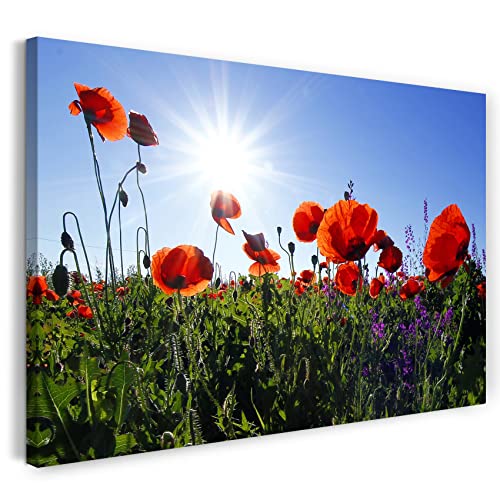 Printed Paintings Leinwand (60x40cm): Blumenbilder Mohnblume Mohnblumen-Feld Sonne Links Oben von Printed Paintings