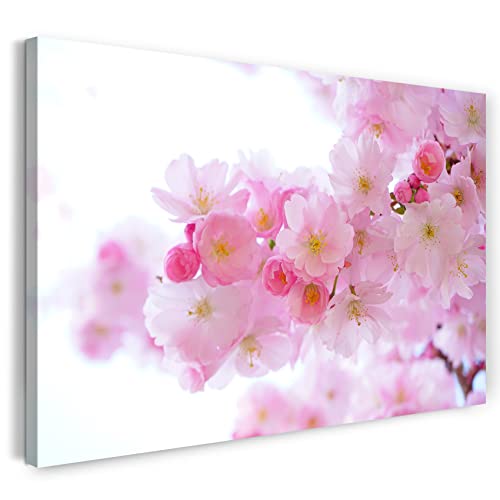 Printed Paintings Leinwand (60x40cm): Blumenbilder Nahaufnahme AST japanischer Kirschblütenbaum von Printed Paintings