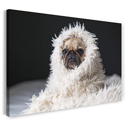 Leinwandbild (30x20cm) Süßer Mops in Decke Tier-Bilder süßes Hunde-Baby Hundebabies, Leinwand auf Keilrahmen gespannt und fertig zum Aufhängen, hochwertiger Kunstdruck aus deutscher Produktion von Printed Paintings