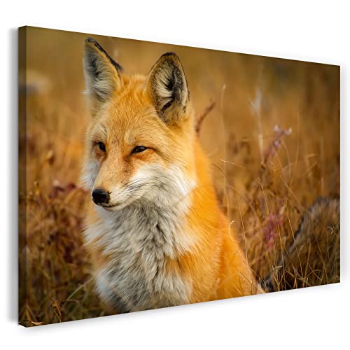 Printed Paintings Leinwand (100x70cm): Tier-Bilder Natur Wildnis Wald Landschaft Fuchs Sieht aus von Printed Paintings