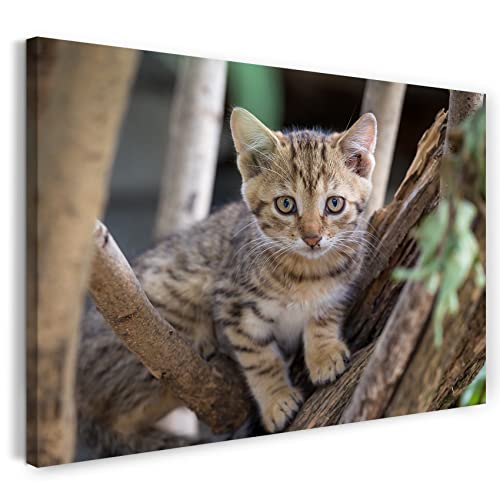 Printed Paintings Leinwand (120x80cm): Katzenbaby draußen auf Baum Katzenbilder von Printed Paintings