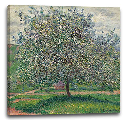 Printed Paintings Leinwand (40x40cm): Claude Monet - Apfelbaum von Printed Paintings