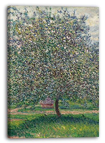 Printed Paintings Leinwand (40x60cm): Claude Monet - Apfelbaum von Printed Paintings