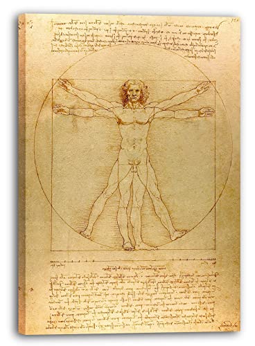 Printed Paintings Leinwand (40x60cm): Leonardo da Vinci - Vitruvianischer Mensch von Printed Paintings