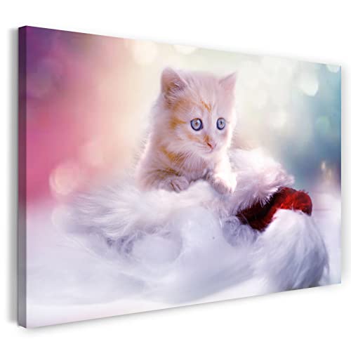 Printed Paintings Leinwand (60x40cm): Katzenbaby getigert süß dreinschauend Katzenbilder von Printed Paintings