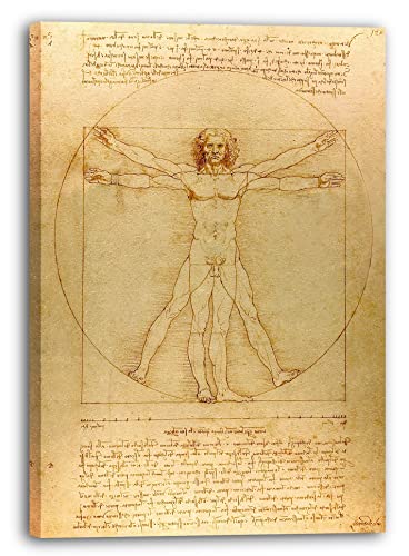 Printed Paintings Leinwand (70x100cm): Leonardo da Vinci - Vitruvianischer Mensch von Printed Paintings