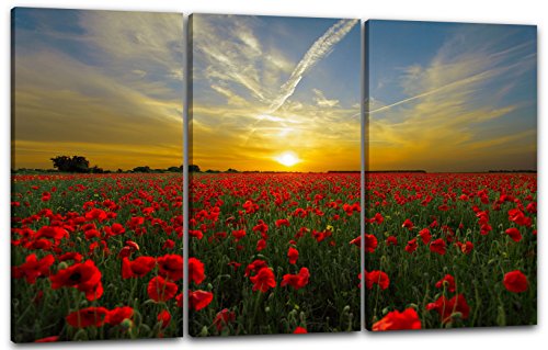 Printed Paintings Leinwand 3-teilig(120x80cm): Blumenbilder Mohnblume Mohnblumen-Feld bei Sonnenu von Printed Paintings