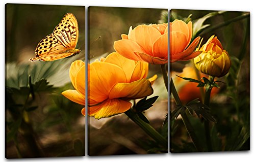 Printed Paintings Leinwand 3-teilig(120x80cm): Blumenbilder Schmetterling auf gelb-orangen Blumen von Printed Paintings