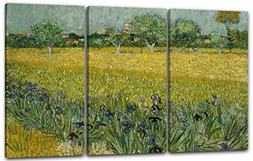 Printed Paintings Leinwand 3-teilig(120x80cm): Vincent Van Gogh - Feld mit Blumen in der Nähe von von Printed Paintings