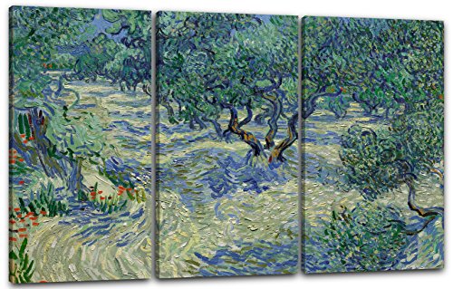 Printed Paintings Leinwand 3-teilig(120x80cm): Vincent Van Gogh - Oliven-Feld von Printed Paintings