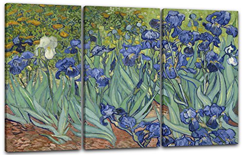 Printed Paintings Leinwand 3-teilig(120x80cm): Vincent Van Gogh - Schwertlilien (1889) von Printed Paintings