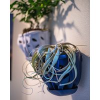 Mittelgroßer Hängender Wand-Orchideenpflanzer | Außendurchmesser 6, 25 Zoll, Einzigartiges Design Aus Efeu, Koralle Und Gedrehten Wurzeln von PrintedNature3D