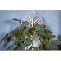 Monstera Pflanzengitter | Zimmerpflanze Weinpflanze 3D Gedruckt von PrintedWithLoveyeg