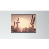 Kakteen Auf Wüstenposter Druck Home Wand Kunst Dekor Pflanzen Sonnenuntergang Modernes Design von PrinteroUK