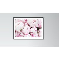 Pfingstrosen Blumen Wand Kunst Dekor Moderne Bunter Druck von PrinteroUK