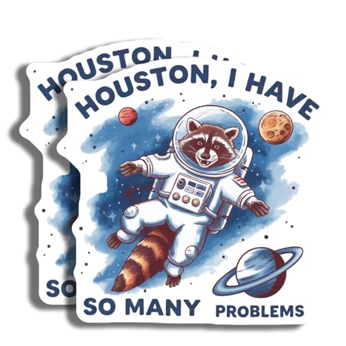 Astronaut Waschbär-Magnete – Houston Problems – Weltraum-Dekoration – 2 Stück – hergestellt in den USA – PLDFMAG4764 von Printlabz