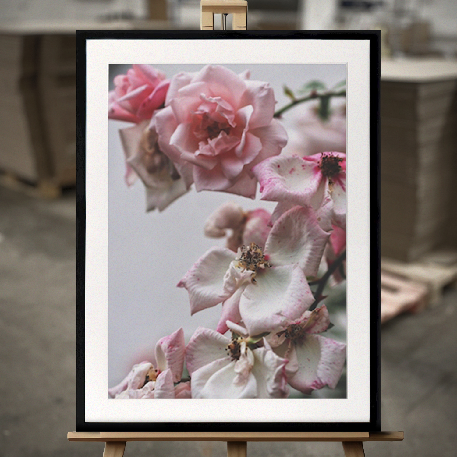 Fine Art "Eine Rose ist eine Rose ist eine..." - Print in 50x70 von Printler