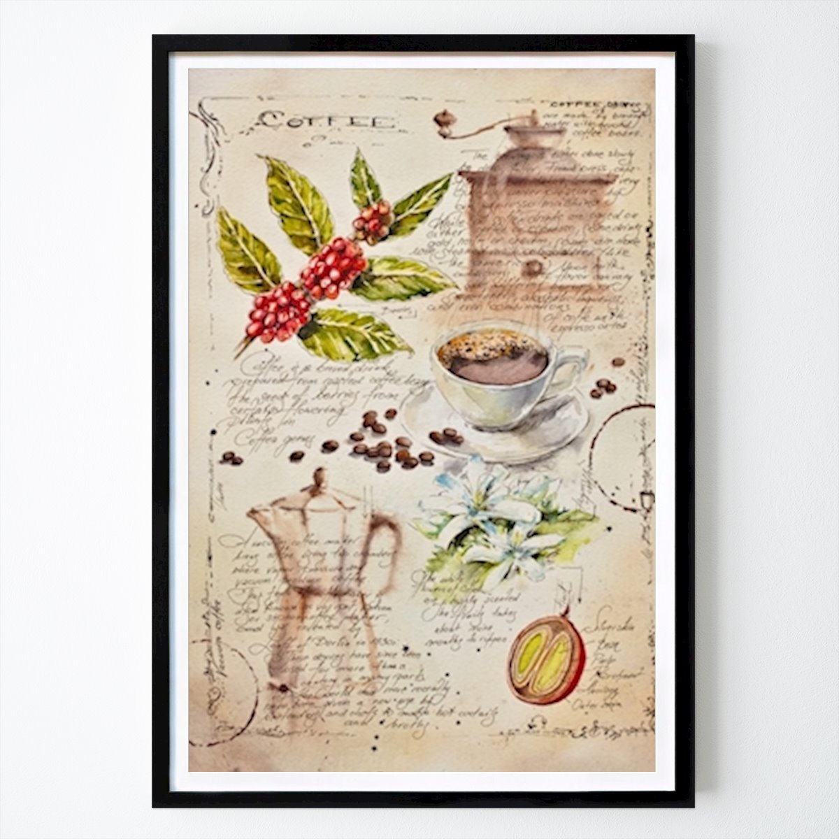 Poster: Aus einem Notizbuch Botanik - Kaffee von Eve Mazur von Printler