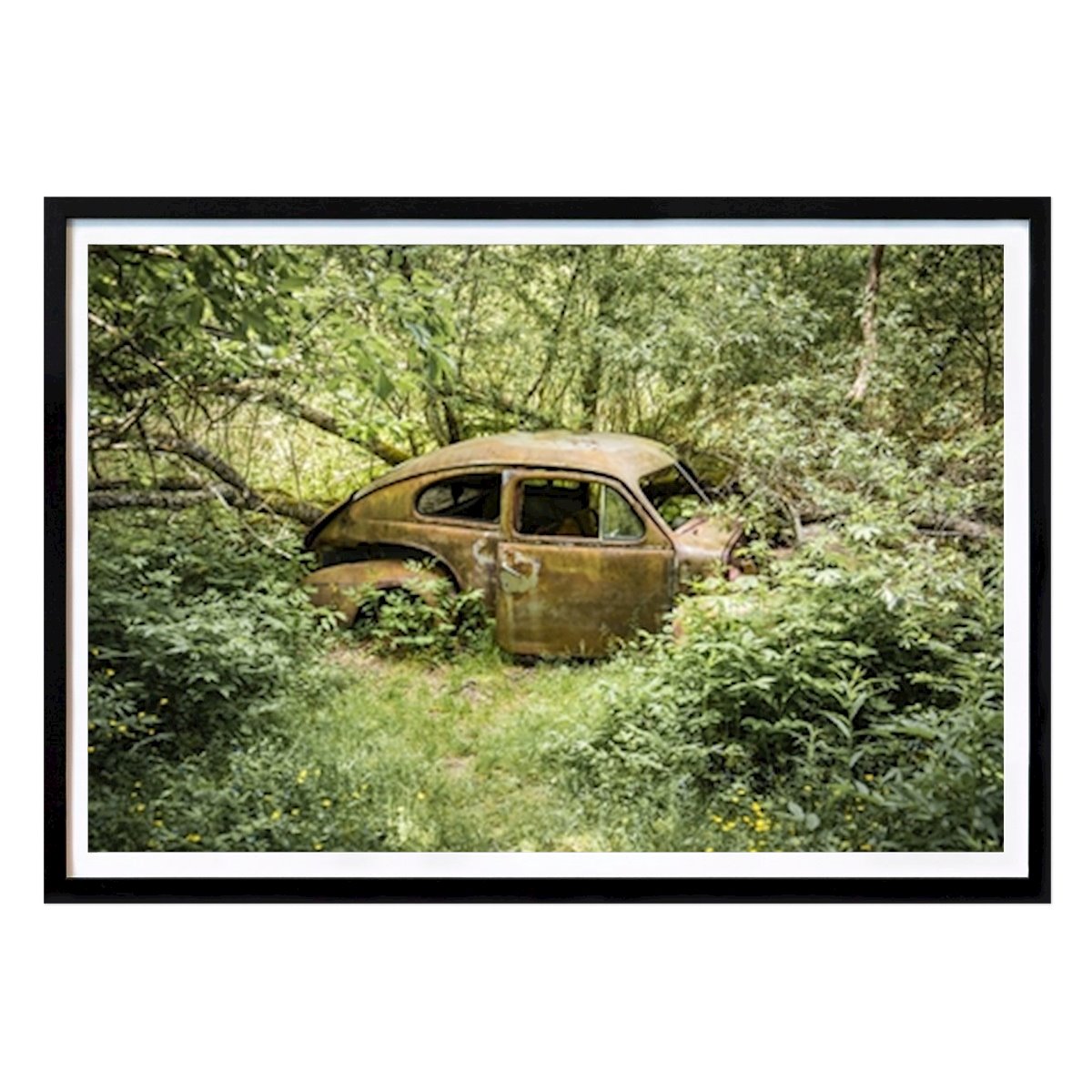 Poster: Auto vergessen in der Natur von Michael Priesch von Printler