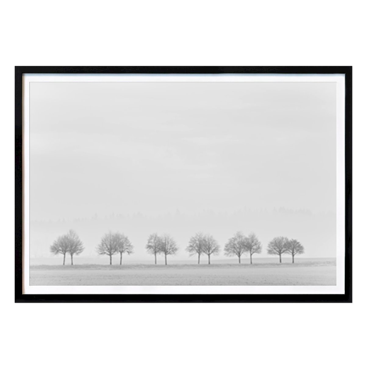 Poster: Bäume im Nebel von Kalin Eftimov von Printler