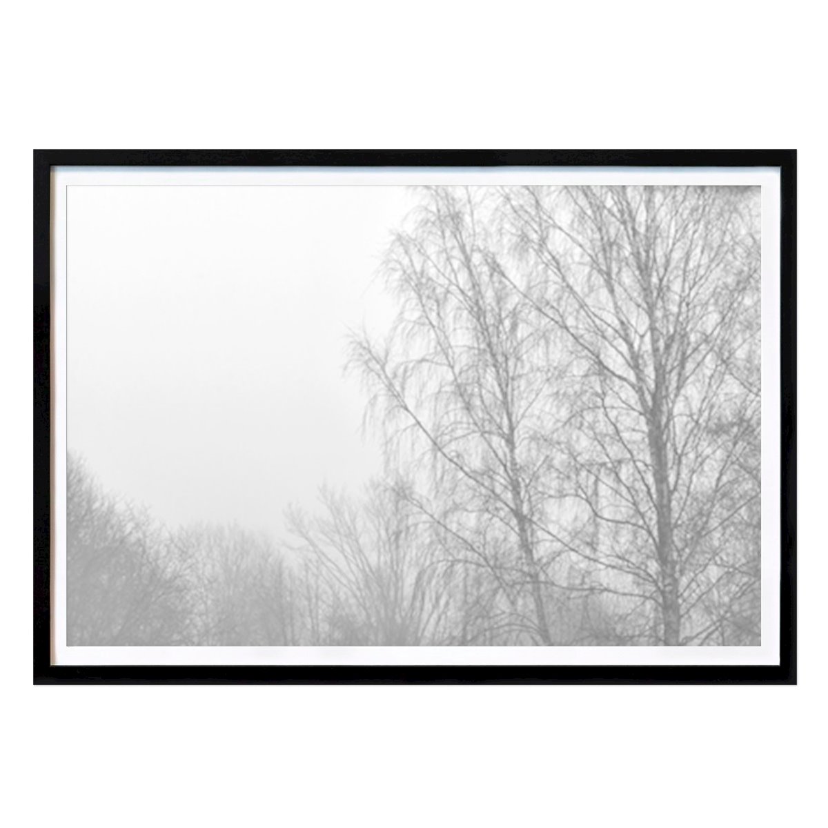 Poster: Bäume im Nebel von Magnus Karlsson von Printler