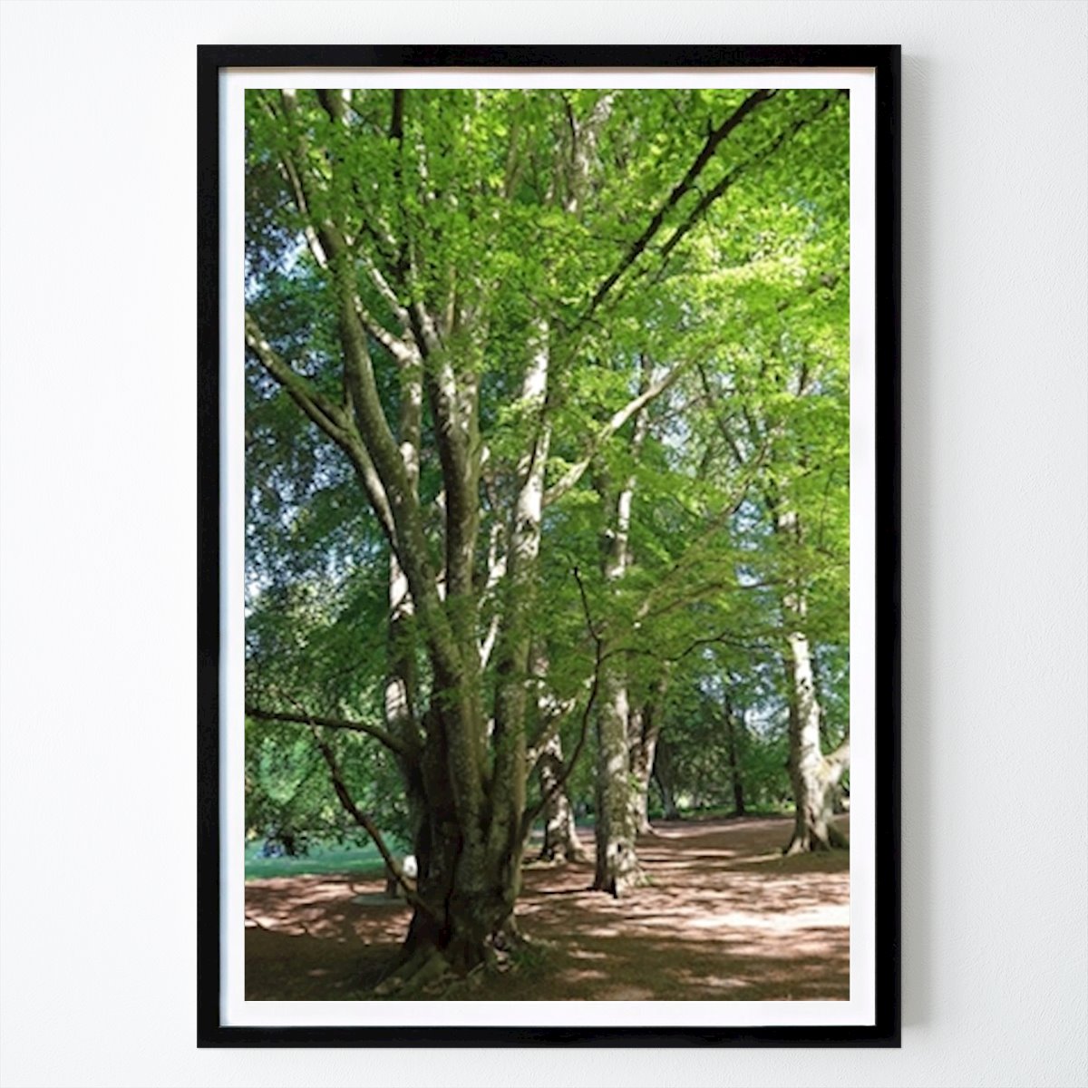 Poster: Bäume im Park von Lena Andersson von Printler