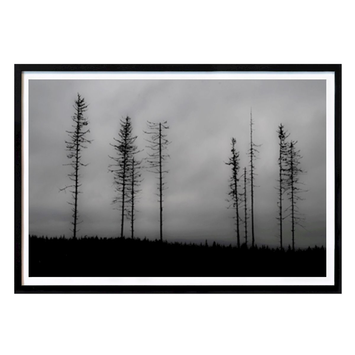 Poster: Bäume von Nina Wennström von Printler