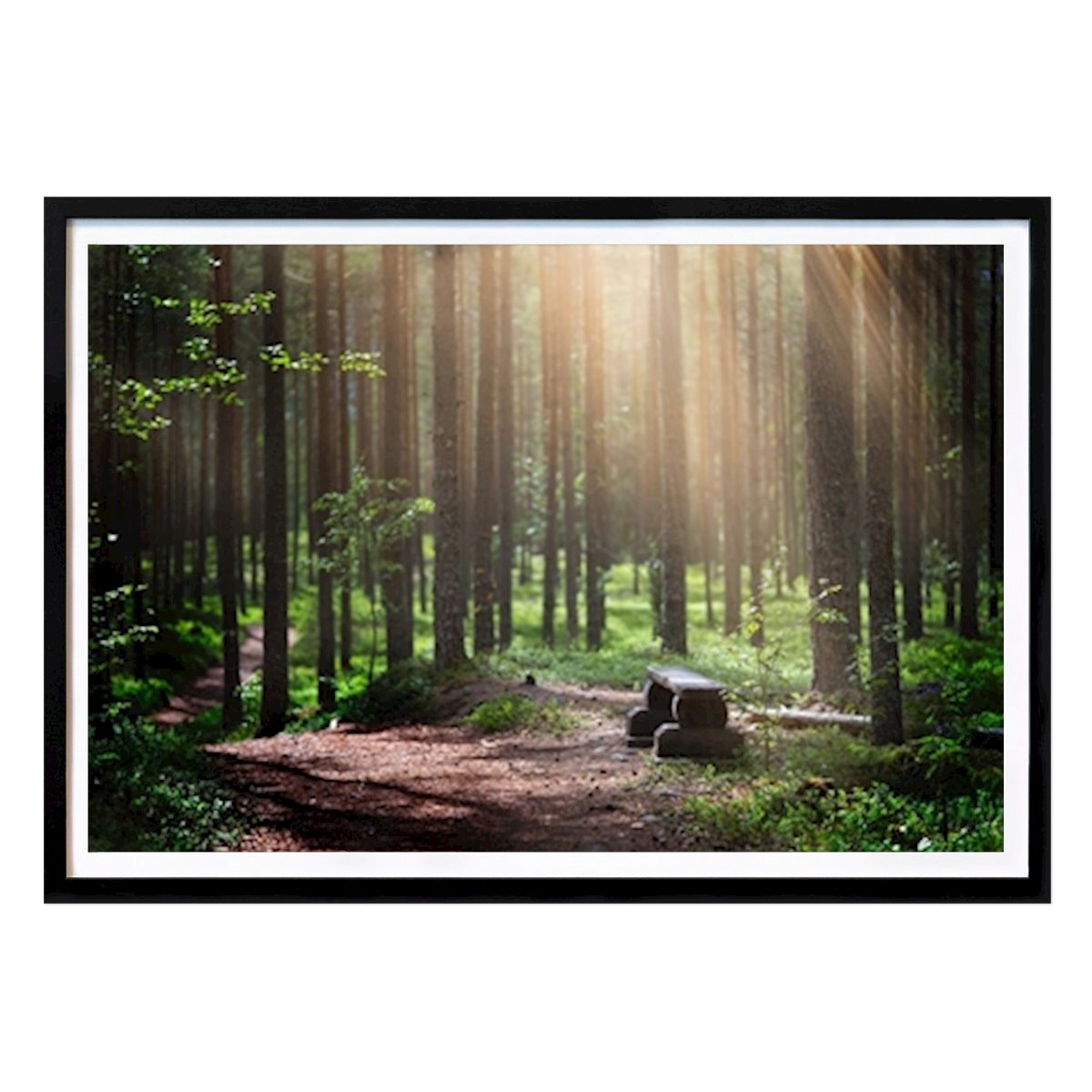 Poster: Bank im Wald von Moments by Annika von Printler