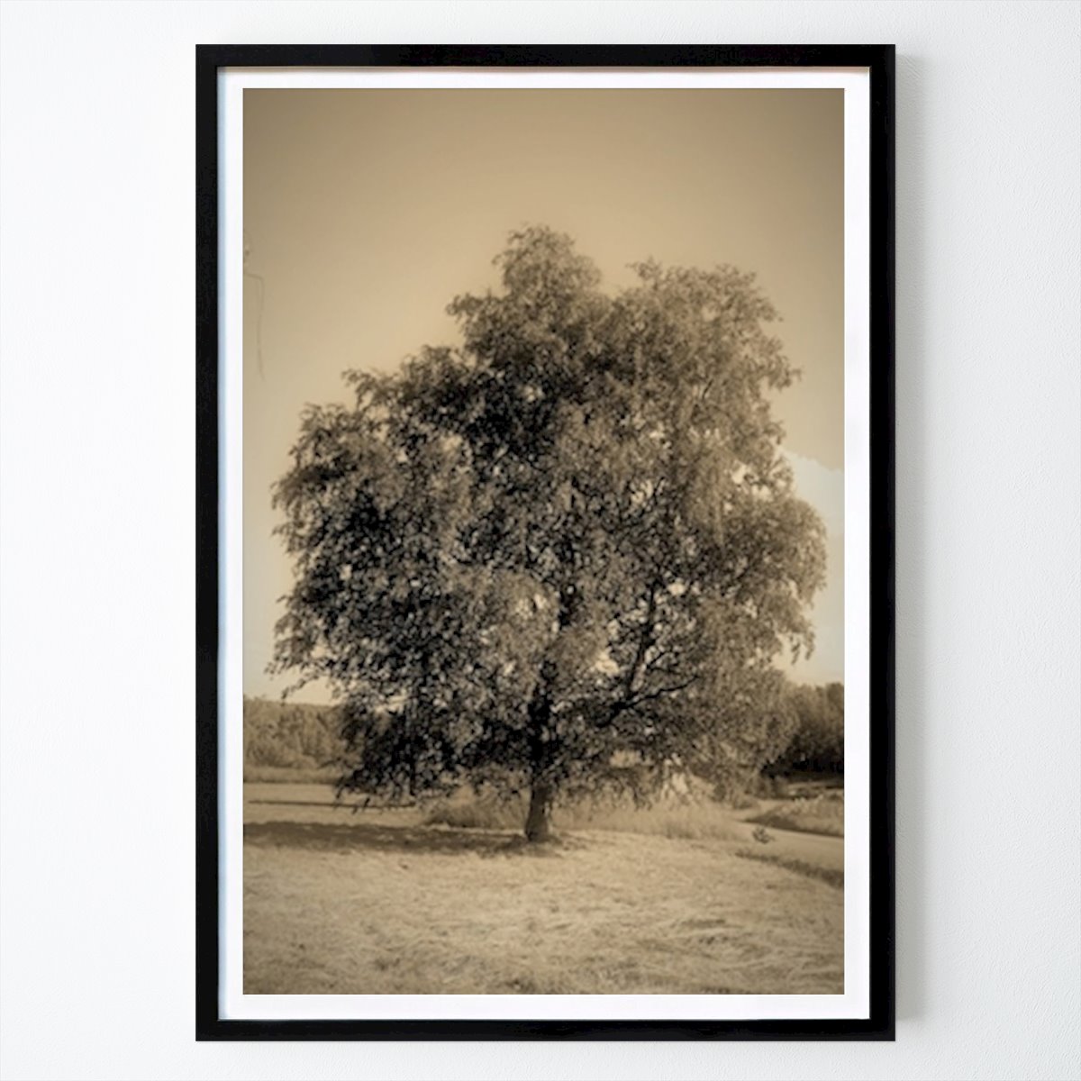 Poster: Baum 1 von Ylva Andersson von Printler