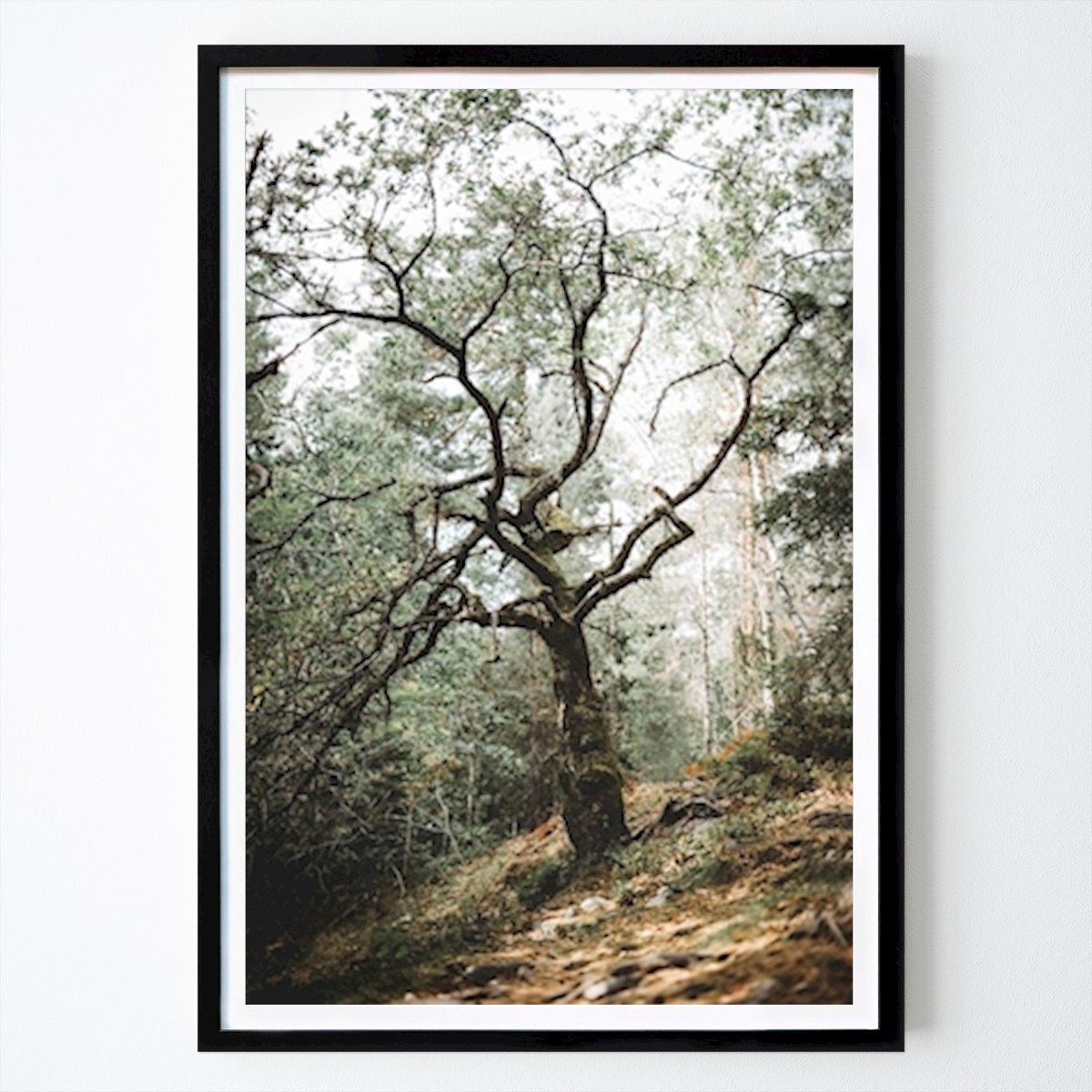 Poster: Baum von Carl Jansson von Printler