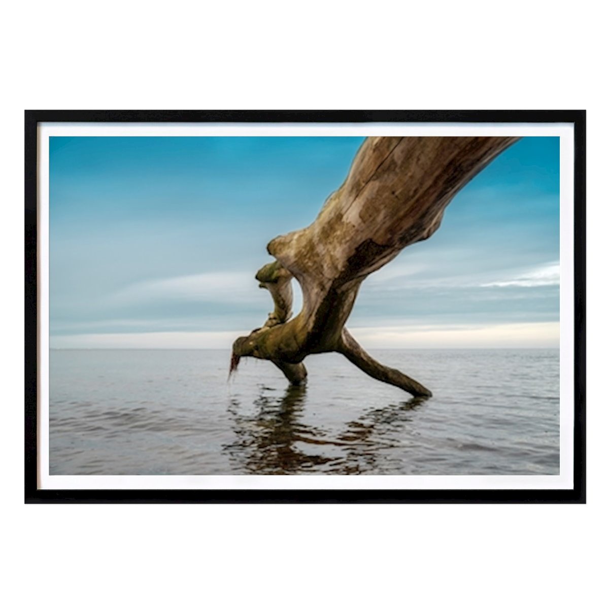 Poster: Baumstamm im Meer von Stephan Zaun von Printler