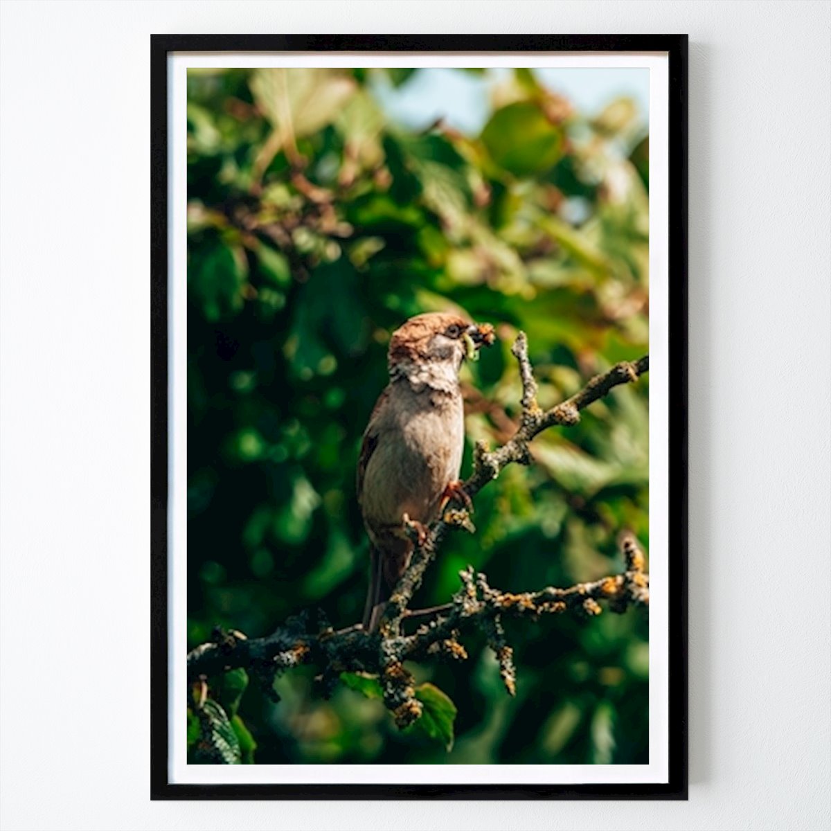 Poster: Bird buffet von 𝔇𝔞𝔫𝔦𝔢𝔩 𝔘𝔥𝔩𝔪𝔞𝔫 von Printler