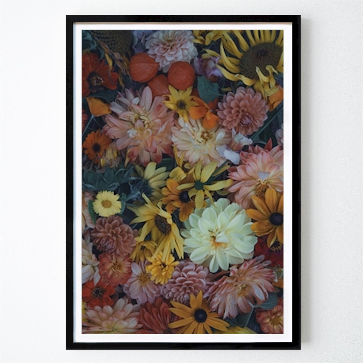 Poster: Blumen, Dahlien und Sonnenblumen von Nina Sinkkonen von Printler