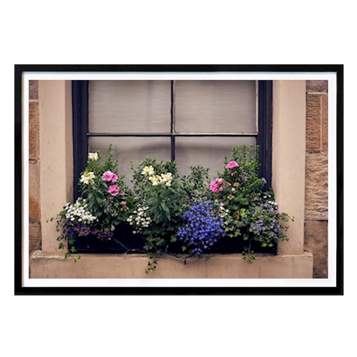 Poster: Blumen an meinem Fenster von Ursula Schmitz von Printler