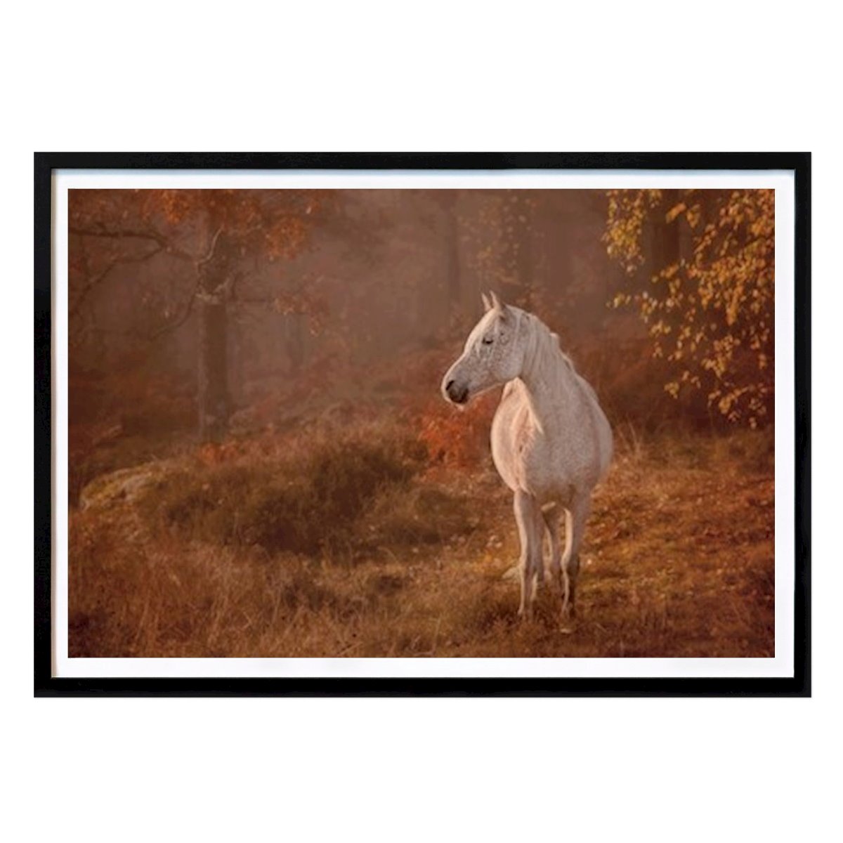 Poster: Das weiße Pferd von Niclas Ådemark von Printler