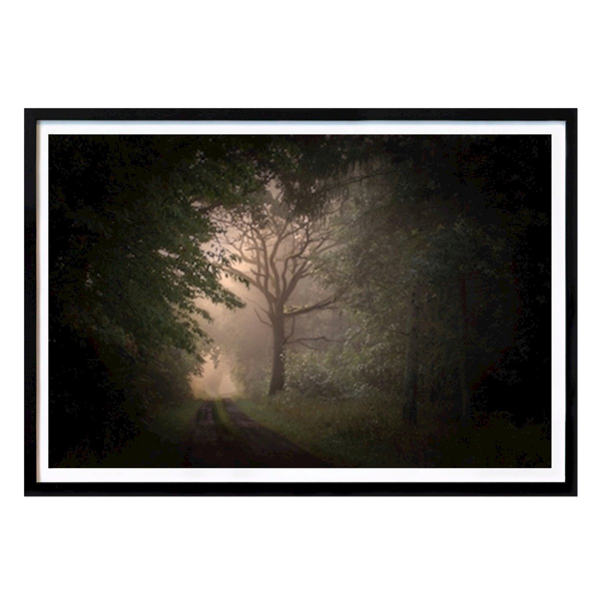 Poster: Der Baum im Nebel von Buffan Walter von Printler