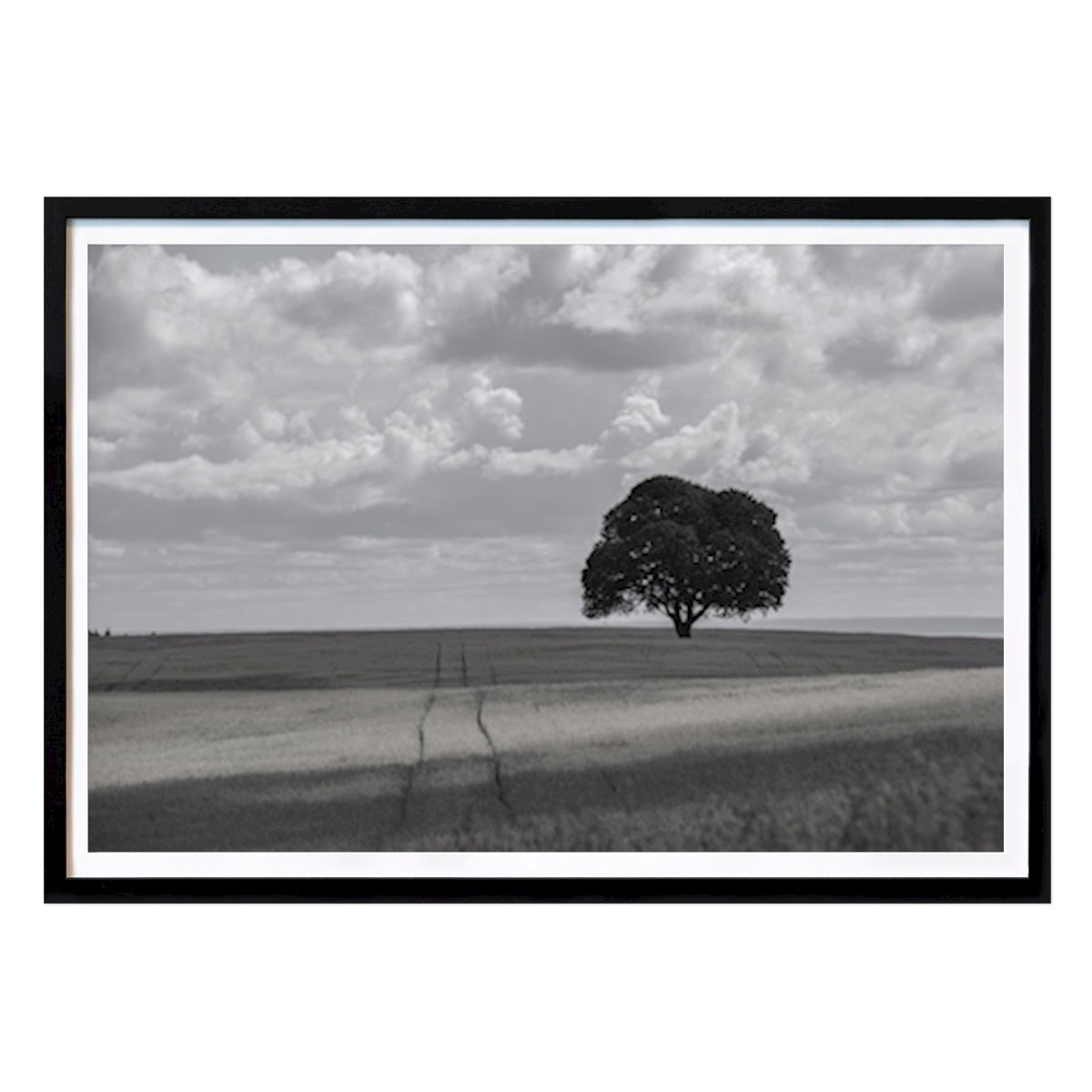 Poster: Der Baum von Marianne Jenack von Printler
