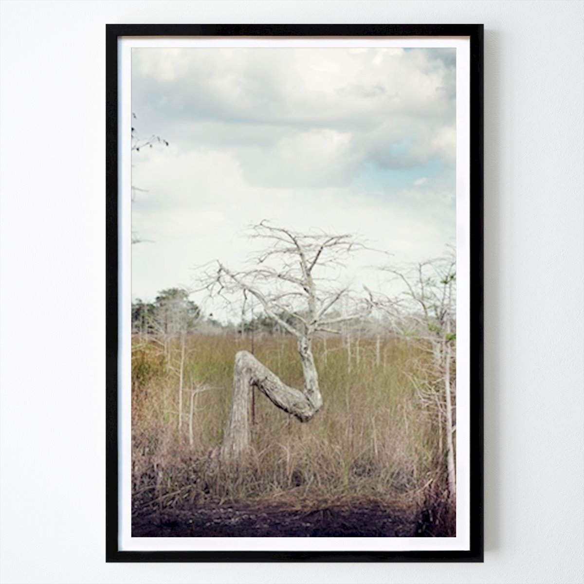 Poster: Der Everglade Z Baum von Viveka Österman von Printler
