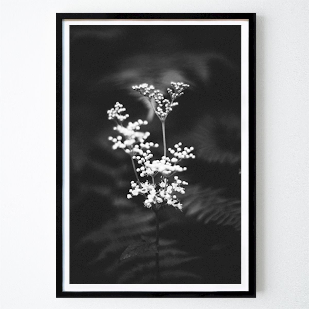 Poster: Die Blume im Wald von Robin hast von Printler