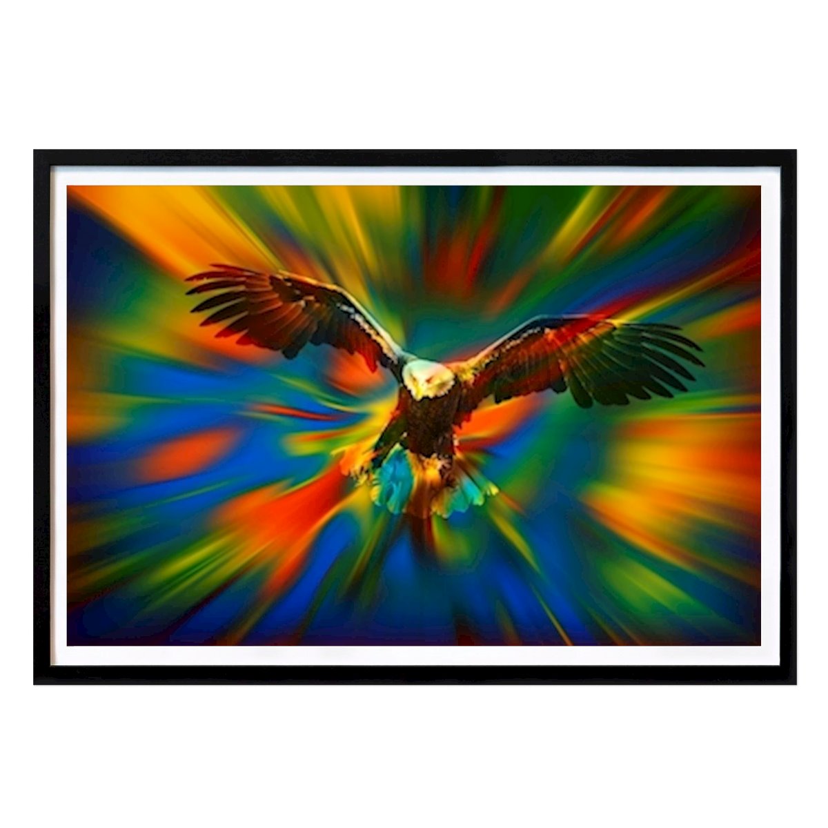 Poster: Eagle approaching von Stephan Zaun von Printler