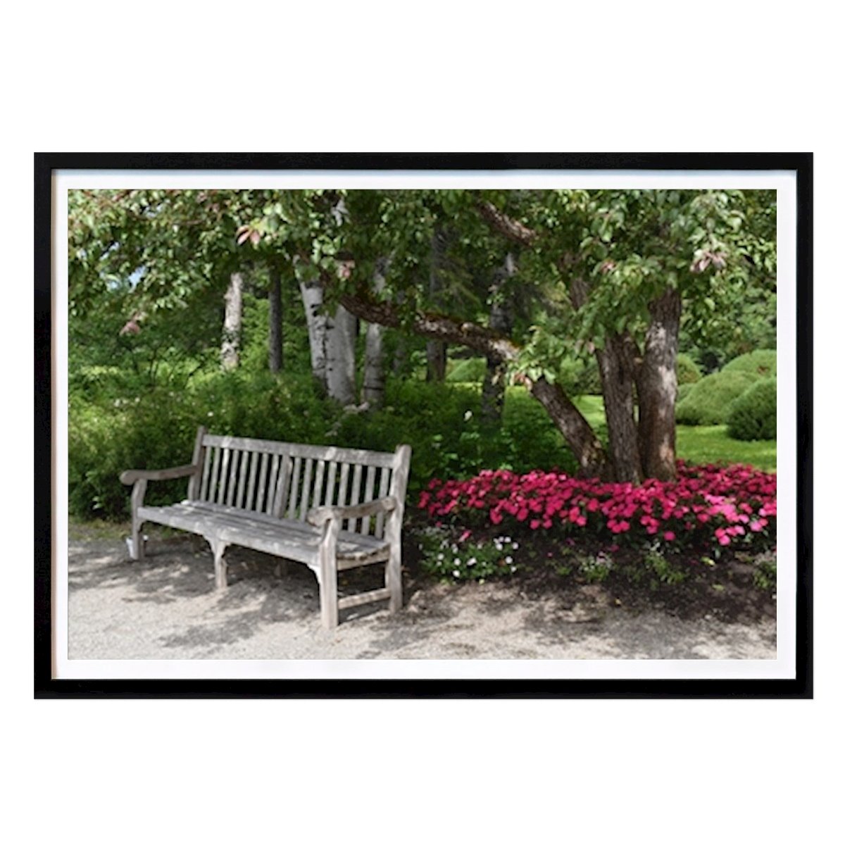 Poster: Eine Bank im Park im Sommer von Claude Laprise von Printler