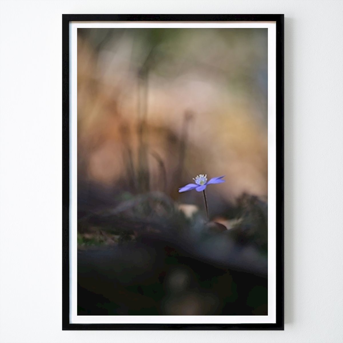 Poster: Einsame Heidelbeere im Wald von Brix Photo von Printler