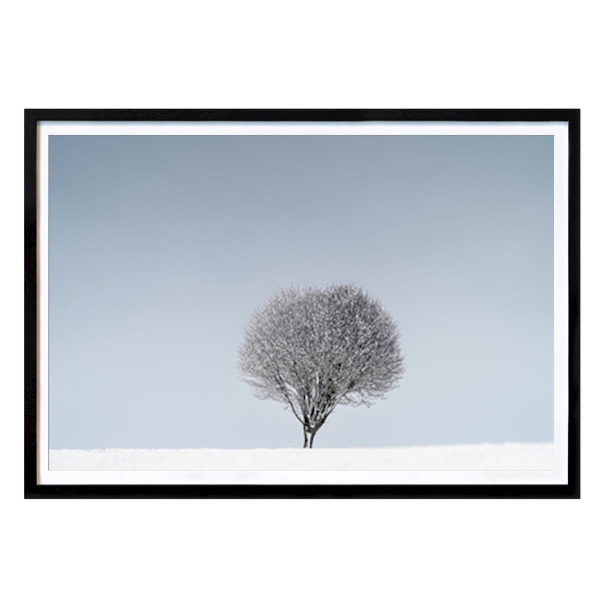 Poster: Einsamer Baum von Stephan Zaun von Printler
