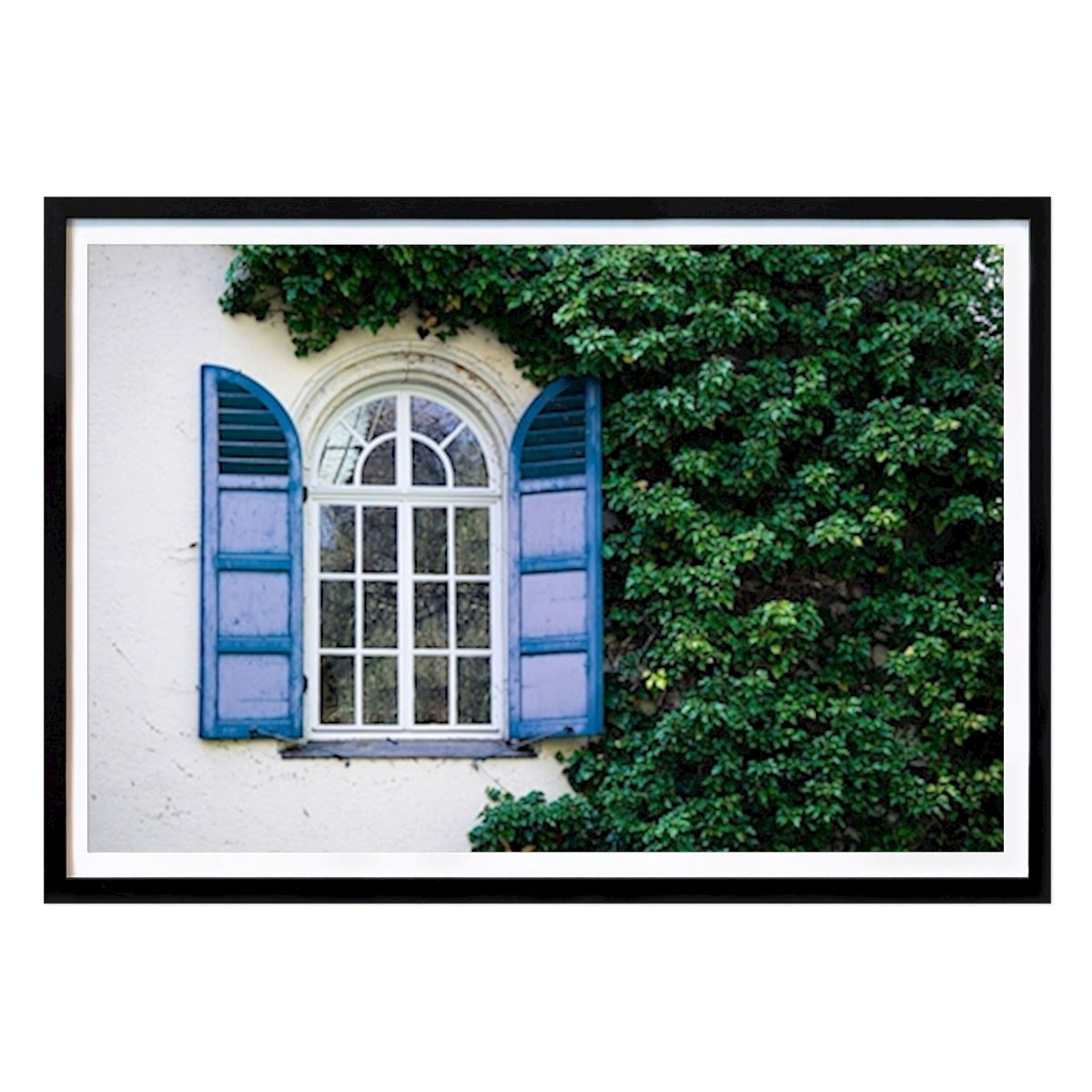 Poster: Fenster im Efeu von Annika Willisch von Printler