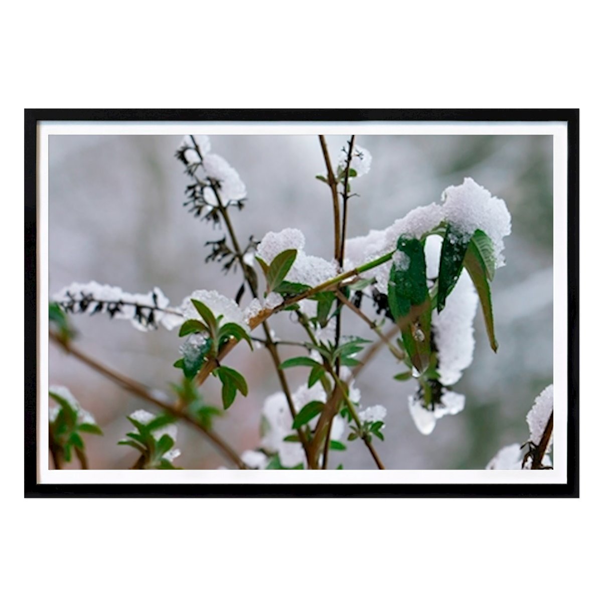 Poster: Frühling Winter von Ingmar Holmberg von Printler