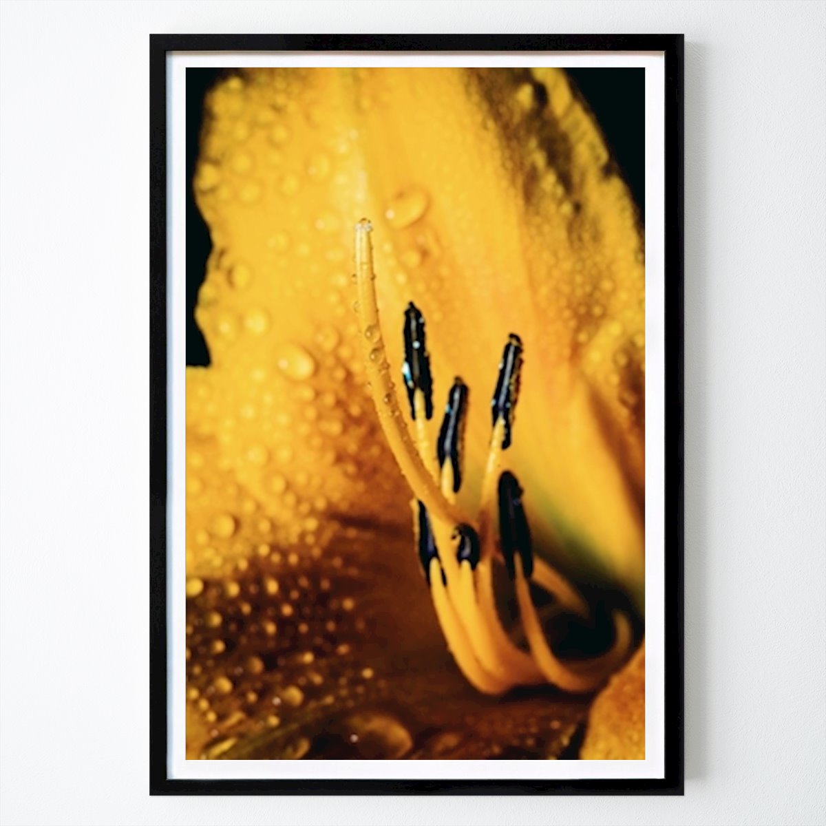 Poster: Gelbe Blume von Lukasz Malyszka von Printler