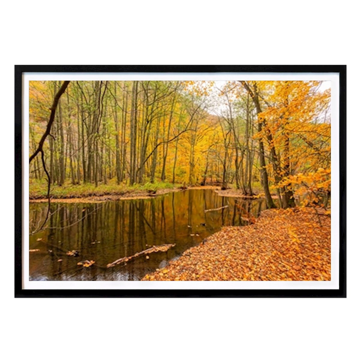 Poster: Herbstvernissage der Natur von Kim Carlson von Printler