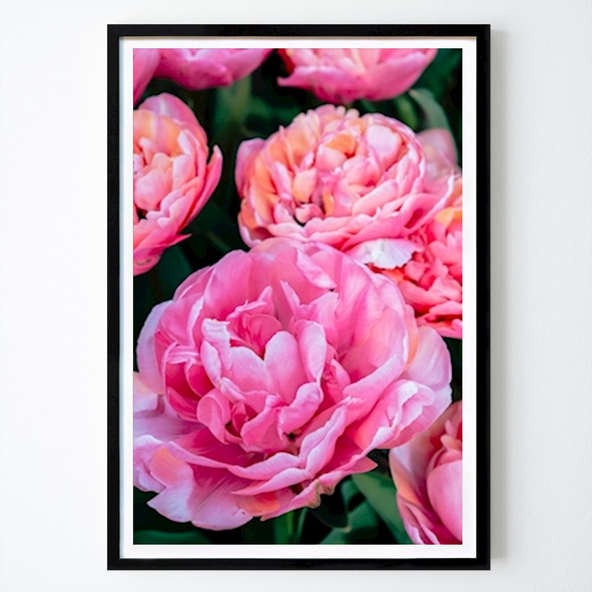 Poster: Hübsche rosa Blume von Hanelke Bruwer von Printler