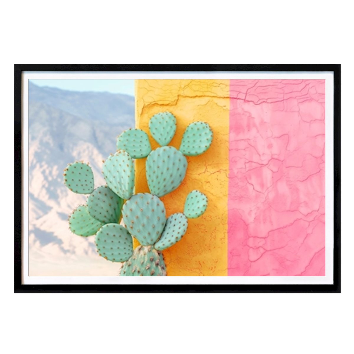 Poster: Kaktus Colorwall von Philippe HUGONNARD von Printler